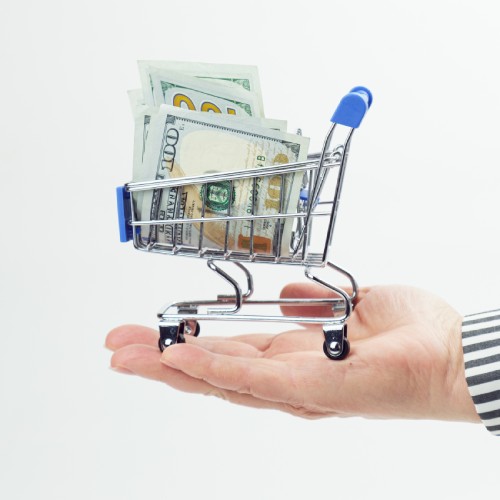 Hand holding a tiny shopping cart filled with cash